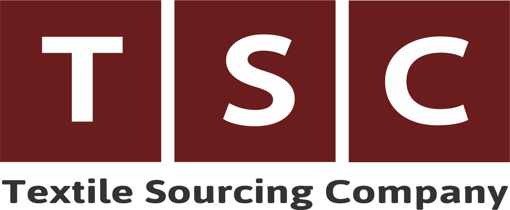 Stefanini Group Logo