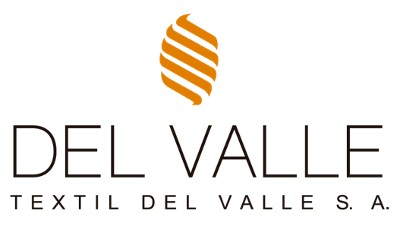 Stefanini Group Logo